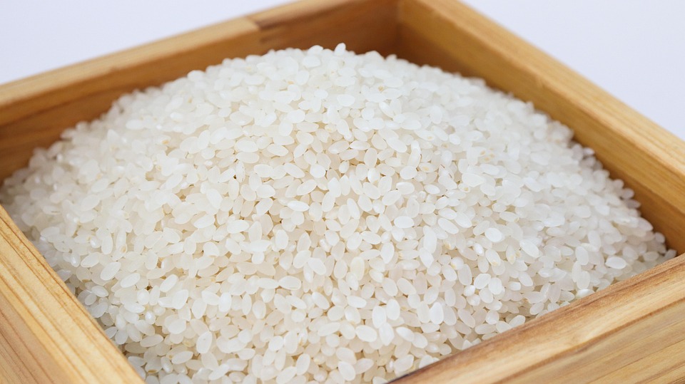 7 Tips Menyimpan Beras Secara Tepat Agar Awet dan Bebas Kutu