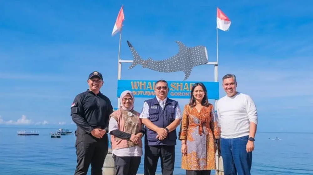 Wamenpar Ajak Wisatawan dan Warga Jaga Kelestarian Hiu Paus di Botubarani