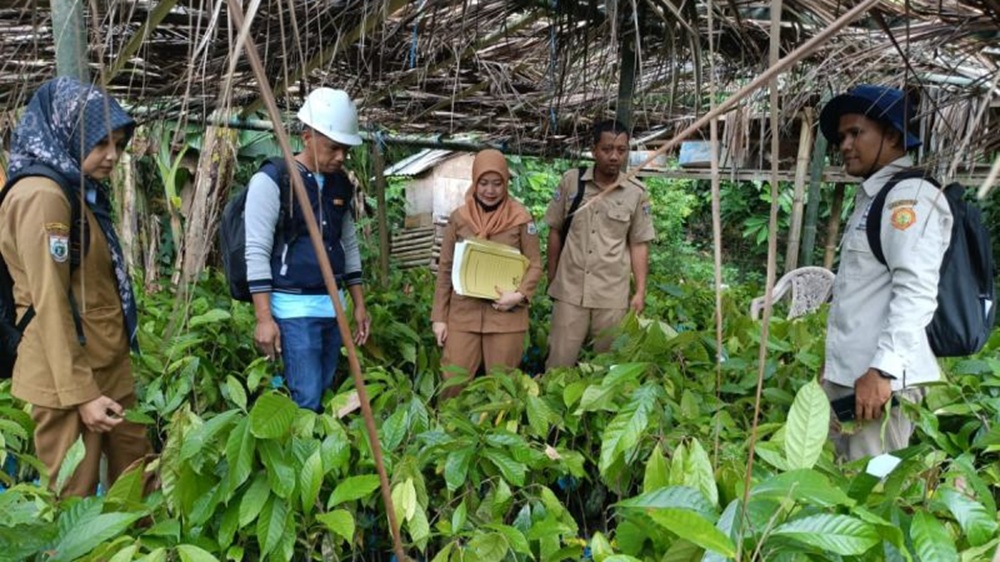Pastikan Bantuan Tepat Sasaran, Inspektorat Sulbar Awasi Penyaluran Bibit Kakao