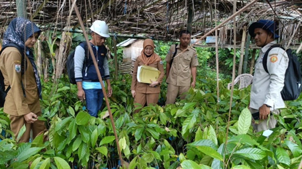 Sektor Perkebunan Jadi Penyumbang Terbesar Pertumbuhan Ekonomi Sulbar