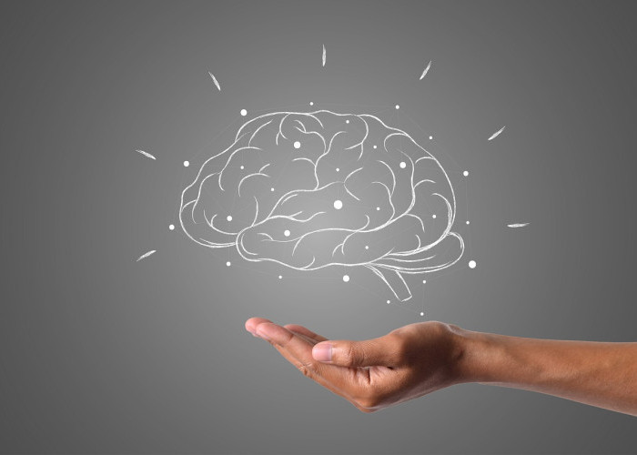 8 Cara Meningkatkan IQ Anak Secara Alami, Terbukti Efektif dan Aman