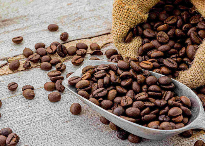 Pemprov Sulbar Wajibkan Uji Mutu Dua Komoditas Unggulan: Biji Kopi dan Kakao