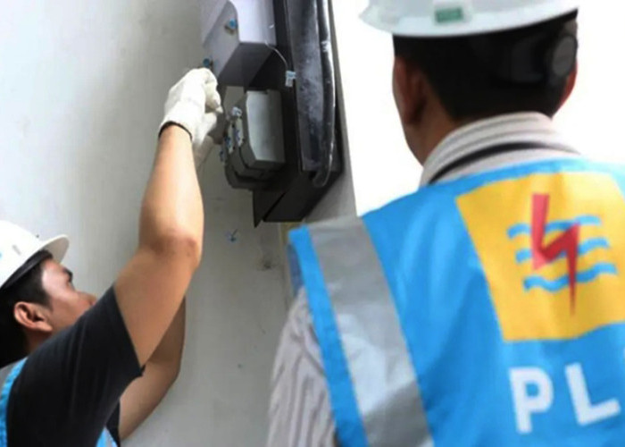 Upaya Pengentasan Kemiskinan, Dinas ESDM Sulbar Targetkan Listrik Gratis pada 27.000 RTS