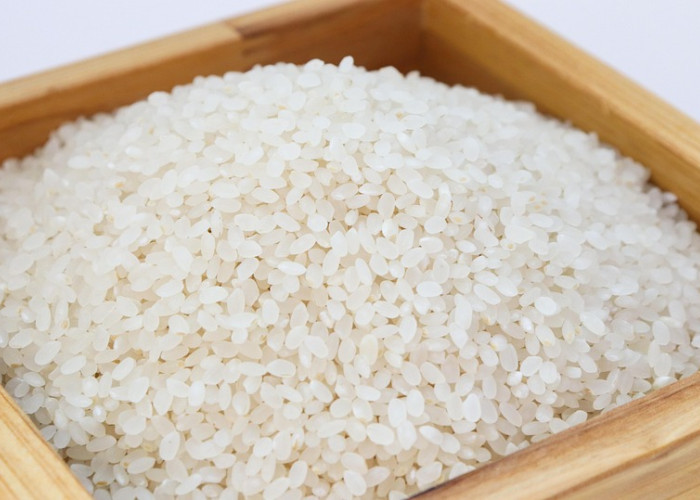 7 Tips Menyimpan Beras Secara Tepat Agar Awet dan Bebas Kutu