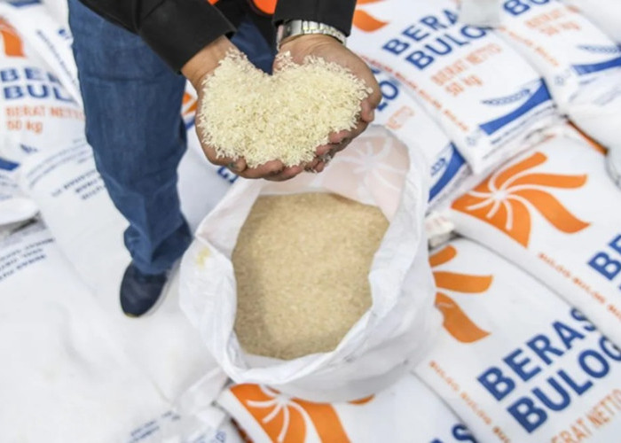 Kepala Bapanas Tegaskan Stok Beras Nasional Tahun 2025 Aman dan Cukup