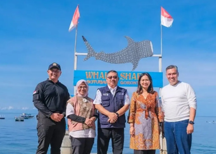 Wamenpar Ajak Wisatawan dan Warga Jaga Kelestarian Hiu Paus di Botubarani
