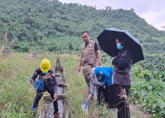 Pemprov Sulbar Turunkan Tim Terpadu untuk Tinjau Dugaan Pencemaran Limbah Sawit