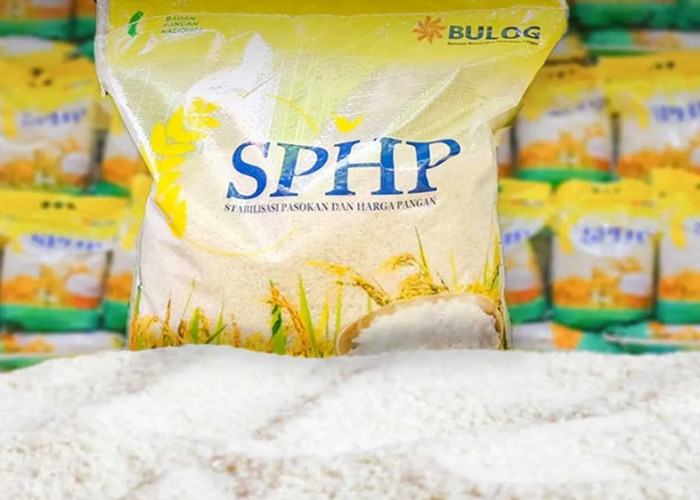 Perum Bulog Catat Penyaluran Beras SPHP Mencapai 18.500 Ton