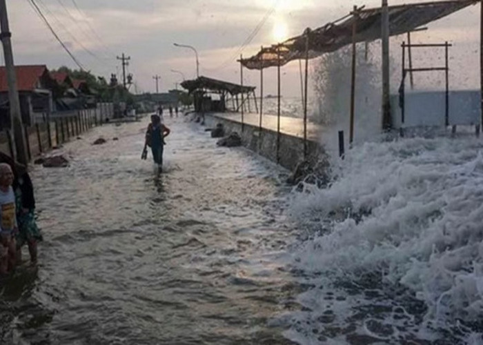 Harus Diwaspadai, Wilayah Pesisir Sulbar Berpotensi Banjir Rob 2-6 Januari 2026