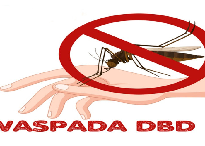 Masyarakat Sulbar Diimbau Mewaspadai Kasus Demam Berdarah Dengue