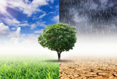 BMKG: Pola Musim di Sulawesi Barat Dipengaruhi Perubahan Iklim