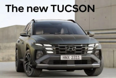 Hyundai Tarik 51.000 Unit Tucson Produksi 2022-2024