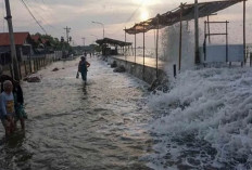Harus Diwaspadai, Wilayah Pesisir Sulbar Berpotensi Banjir Rob 2-6 Januari 2026